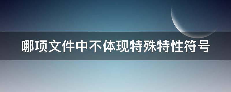 哪项文件中不体现特殊特性符号