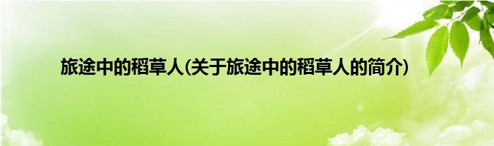 旅途中的稻草人(关于旅途中的稻草人的简介)