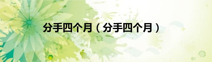 分手四个月（分手四个月）