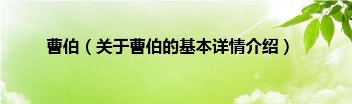 曹伯（关于曹伯的基本详情介绍）
