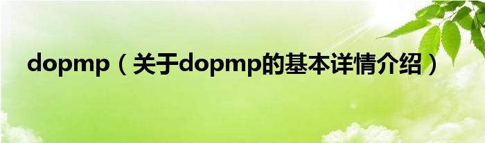 dopmp（关于dopmp的基本详情介绍）