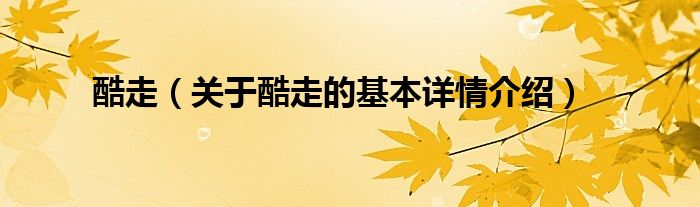 酷走（关于酷走的基本详情介绍）