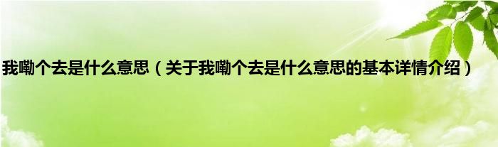 我嘞个去是什么意思（关于我嘞个去是什么意思的基本详情介绍）