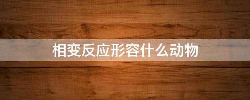 相变反应形容什么动物