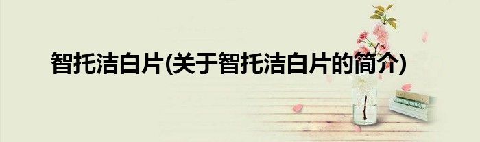 智托洁白片(关于智托洁白片的简介)