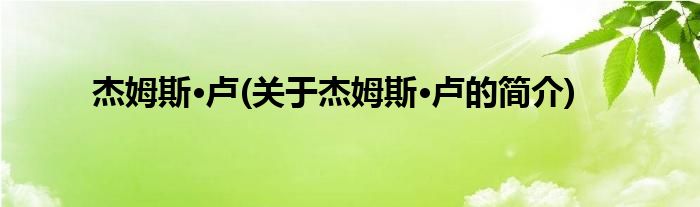 杰姆斯·卢(关于杰姆斯·卢的简介)