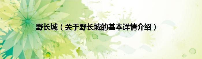 野长城（关于野长城的基本详情介绍）