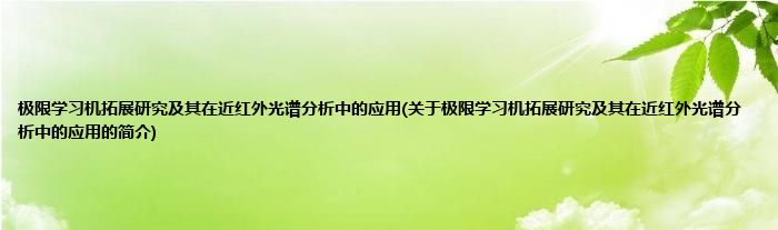 极限学习机拓展研究及其在近红外光谱分析中的应用(关于极限学习机拓展研究及其在近红外光谱分析中的应用的简介)