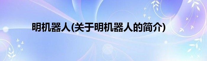 明机器人(关于明机器人的简介)