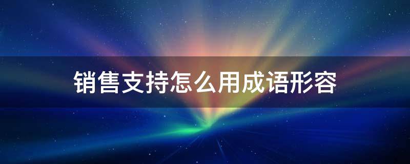 销售支持怎么用成语形容