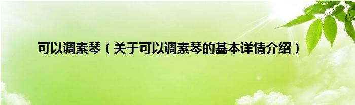 可以调素琴（关于可以调素琴的基本详情介绍）