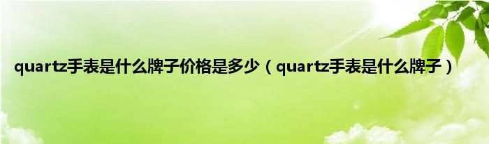 quartz手表是什么牌子价格是多少（quartz手表是什么牌子）