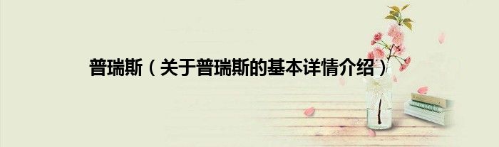 普瑞斯（关于普瑞斯的基本详情介绍）