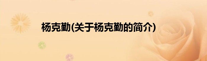 杨克勤(关于杨克勤的简介)