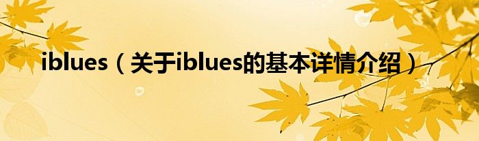 iblues（关于iblues的基本详情介绍）