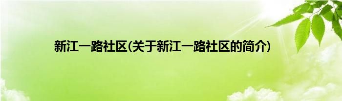 新江一路社区(关于新江一路社区的简介)