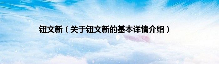 钮文新（关于钮文新的基本详情介绍）