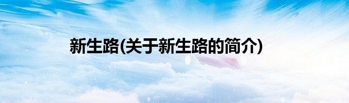 新生路(关于新生路的简介)