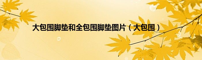 大包围脚垫和全包围脚垫图片（大包围）