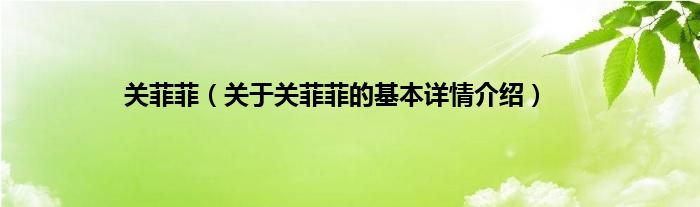 关菲菲（关于关菲菲的基本详情介绍）