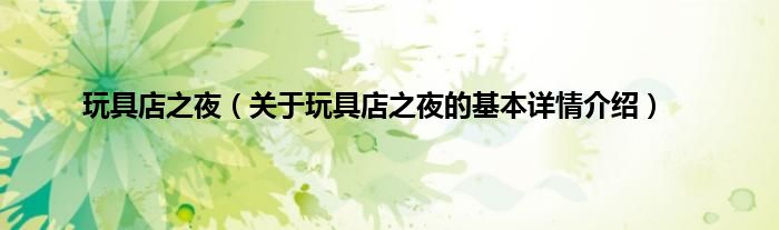 玩具店之夜（关于玩具店之夜的基本详情介绍）