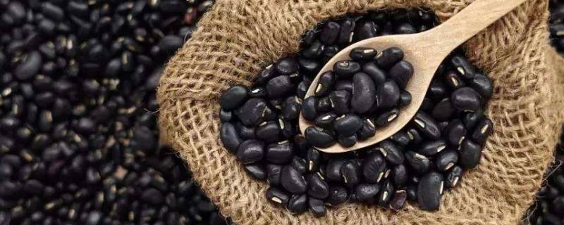 黑豆的功效