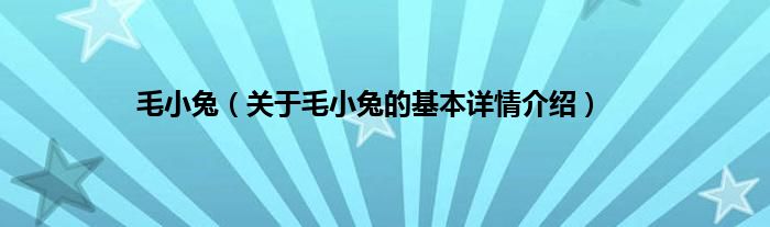 毛小兔（关于毛小兔的基本详情介绍）