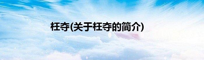 枉夺(关于枉夺的简介)