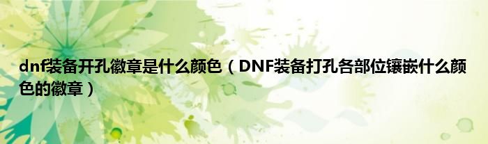 dnf装备开孔徽章是什么颜色（DNF装备打孔各部位镶嵌什么颜色的徽章）