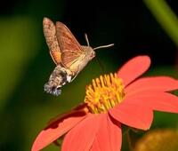 重生1985(林兴国林墨池)小说推荐完结_最新完本小说推荐重生1985(林兴国林墨池)