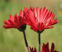 热门好看小说重生1985(林兴国林墨池)_重生1985林兴国林墨池小说完整版