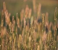 太仓德怡科技有限公司是做什么的？