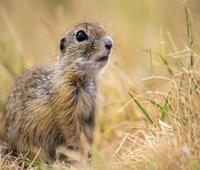 最新完结小说推荐重生1985林兴国林墨池_重生1985(林兴国林墨池)小说完整版