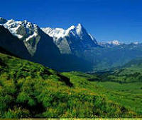 公司英文翻译岗位招聘难不难呢?