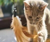 鑫格朗梳妆台怎么清洁保养呢？