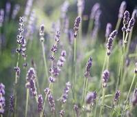 制造厂家工作巡查监督怎么解决时间成本问题？