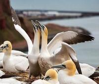 石墨文档的企业文档管理系统对企业有哪些运用价值?